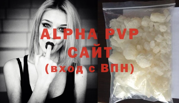 прущие грибы Абаза