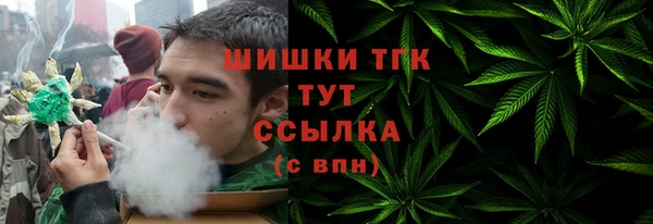 прущие грибы Абаза
