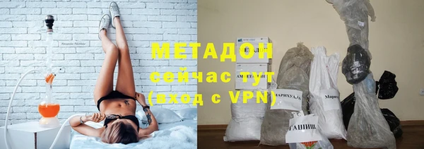 прущие грибы Абаза