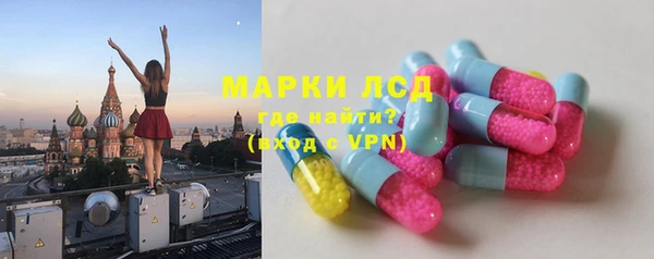 прущие грибы Абаза