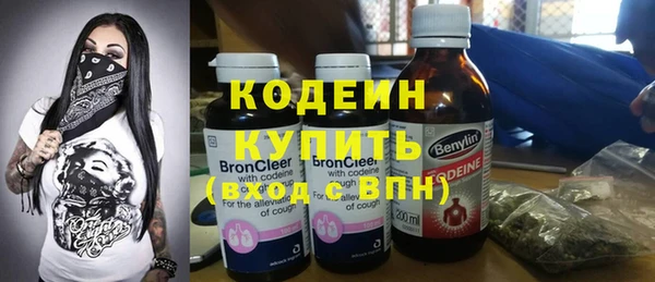 прущие грибы Абаза