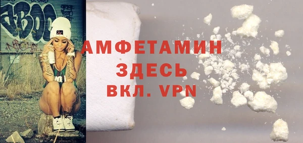 прущие грибы Абаза